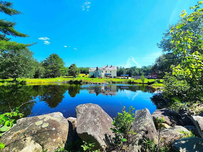 Image with text section